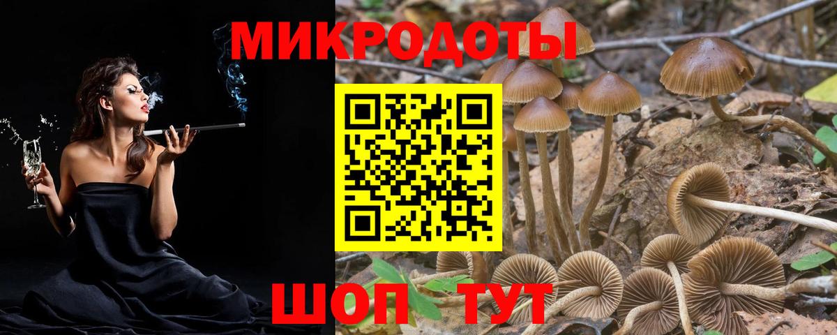 Иваново  Галлюциногенные грибы GOLDEN TEACHER  Вход с VPN 